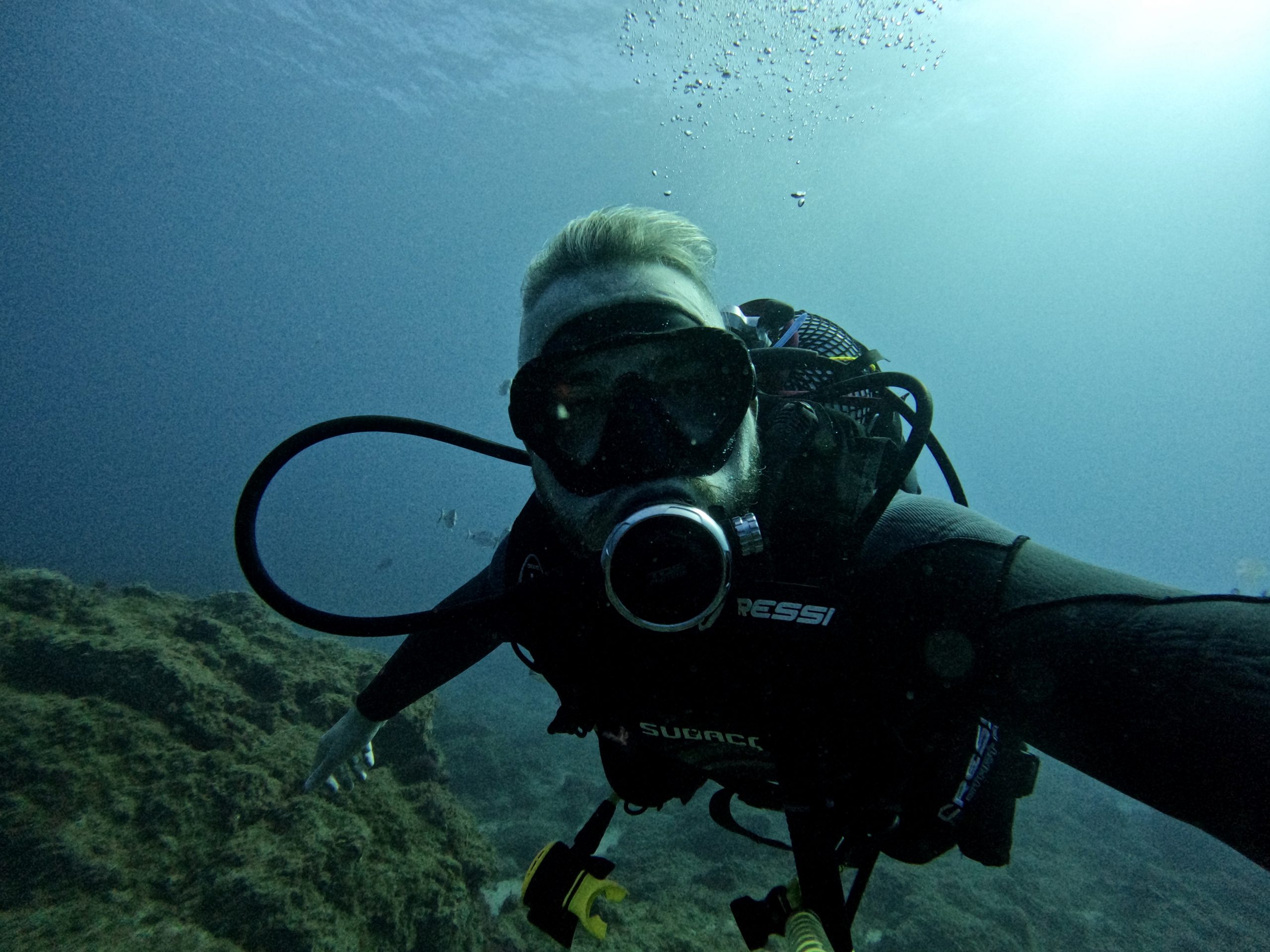 10 Fun Facts about Scuba Diving